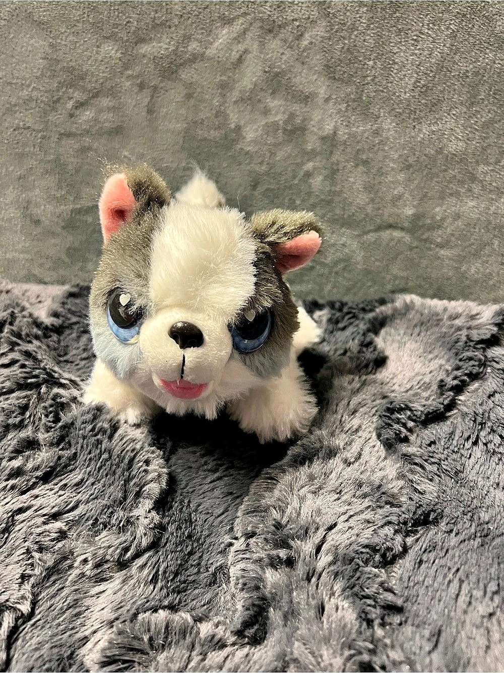 Little Live Pets My Puppy's Home Minis Surprise Puppy Plush Puppy Toy